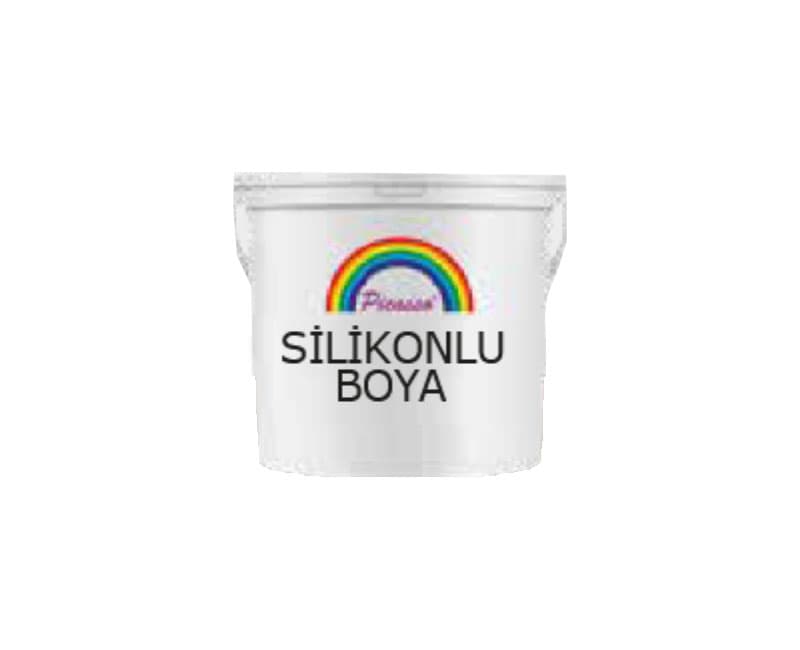 Picasso Silikonlu Boya